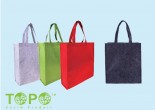 TOTE9120.1380